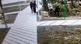 Crimă la Nisporeni. Un tânăr a murit după ce a fost lovit cu pumnul și aruncat într-un șanț de doi
